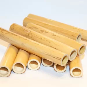 Tube Cane for Baroque Bassoon